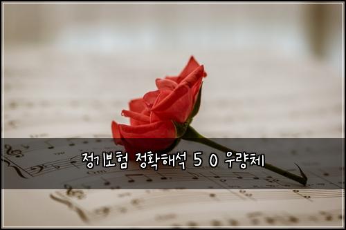 정기보험 정확해석  5 0 우량체