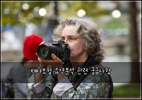태아보험 요약분석  관련 궁금사항