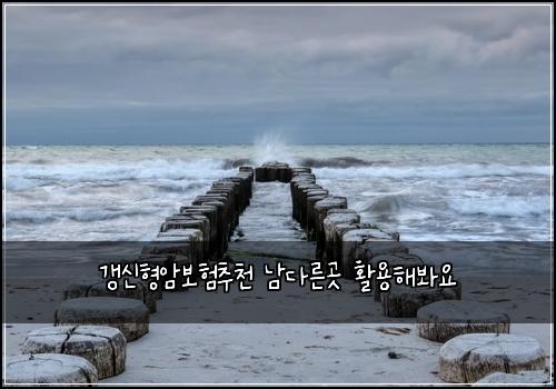 갱신형암보험추천 남다른곳 활용해봐요