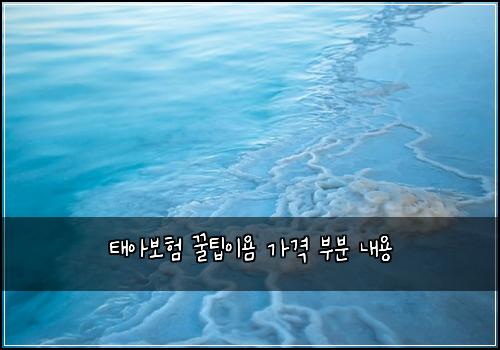 태아보험 꿀팁이욤  가격 부분 내용
