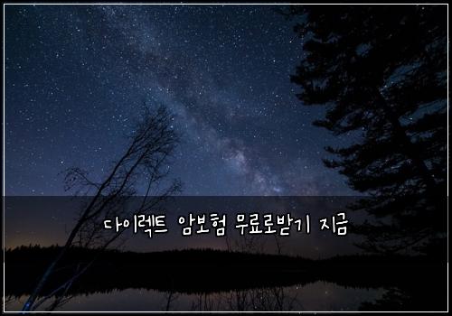 λ€μ΄λ νΈ μ보ν 무λ£λ‘λ°κΈ° μ§κΈ