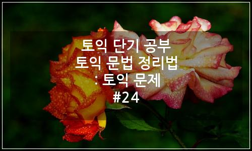 오늘의 이미지