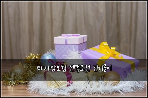 타자암보험 선택요건  인기몰이