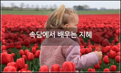 오늘의 이미지