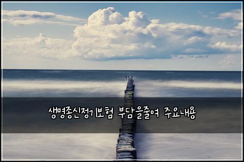 생명종신정기보험 부담을줄여  주요내용