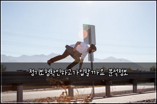 정기보험확인하고가입할까요 분석정보