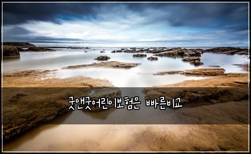 굿앤굿어린이보험은 빠른비교