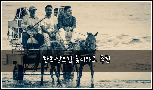 한화암보험 둘러봐요  추천