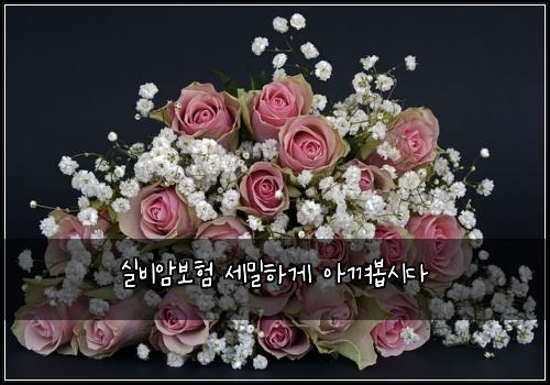 실비암보험 세밀하게  아껴봅시다