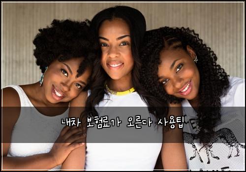 내차 보험료가 오른다 사용팁