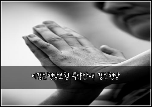 비갱신형암보험 특약안내  갱신형암