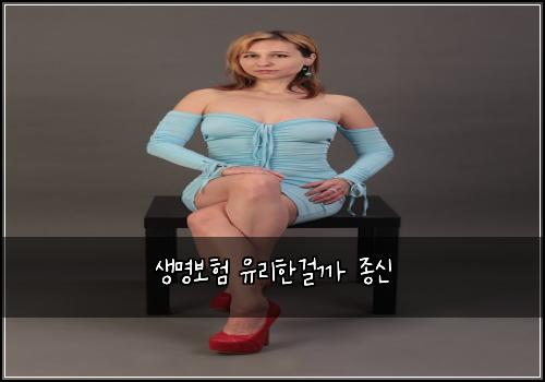생명보험 유리한걸까  종신