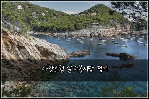 사망보험 살펴봅시당  정기