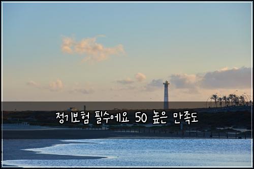 정기보험 필수에요  50 높은 만족도