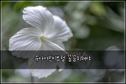 유아어린이보험 꼼꼼히해야 