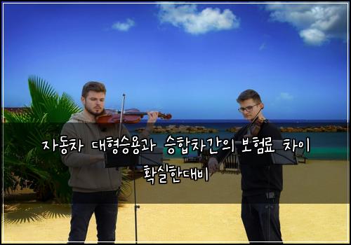 자동차 대형승용과 승합차간의 보험료 차이 확실한대비