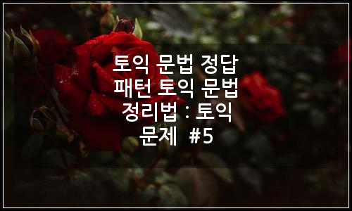 오늘의 이미지