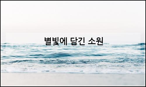 오늘의 이미지