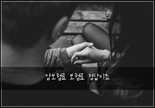 암보험료 보험료 정답이죠
