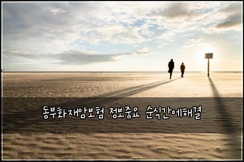 동부화재암보험 정보중요  순식간에해결