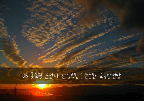  DB 홈쇼핑 운전자 안심보험 : 든든한 교통안전망