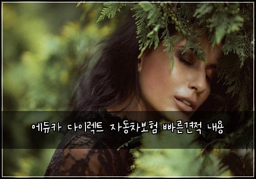 에듀카 다이렉트 자동차보험 빠른견적  내용