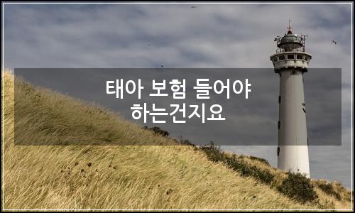 오늘의 이미지