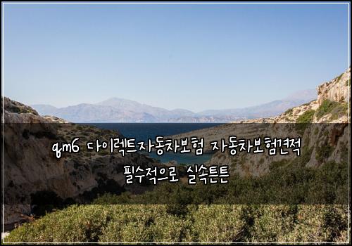 qm6 다이렉트자동차보험 자동차보험견적 필수적으로 실속튼튼