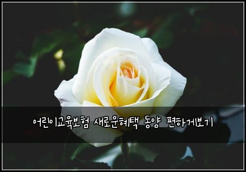 어린이교육보험 새로운혜택  동양 편하게보기