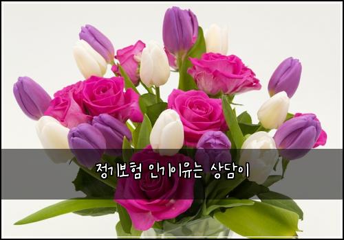 정기보험 인기이유는  상담이