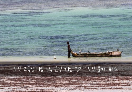 토익 고득점 비법 토익 문법 개념 정리 : 토익 문제 #142