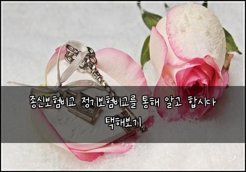 종신보험비교 정기보험비교를 통해 알고 합시다 택해보기