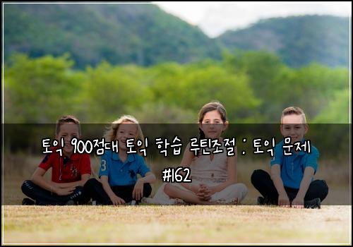 토익 900점대 토익 학습 루틴조절 : 토익 문제 #162