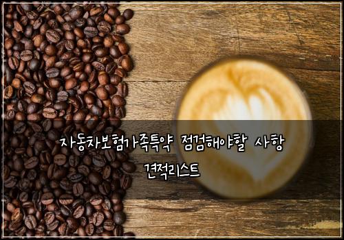 μλ차보νκ°μ‘±νΉμ½ μ κ²ν΄μΌν μ¬ν 견μ 리μ€νΈ