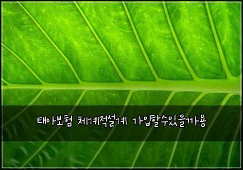 태아보험 체계적설계  가입할수있을까용