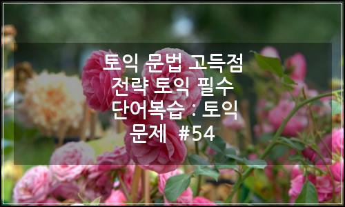 오늘의 이미지