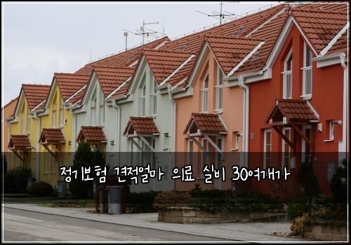 정기보험 견적얼마  의료 실비 30여개가