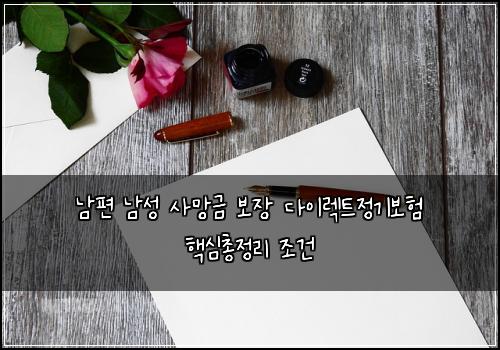 남편 남성 사망금 보장 다이렉트정기보험 핵심총정리  조건
