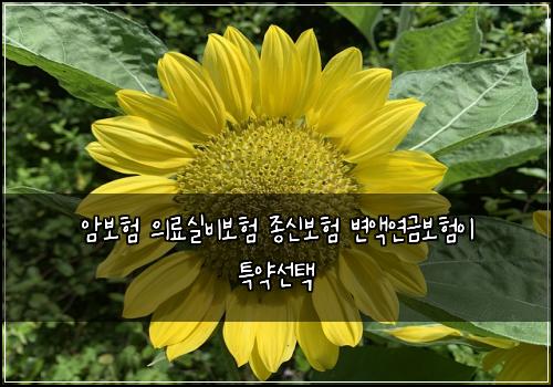 암보험 의료실비보험 종신보험 변액연금보험이 특약선택