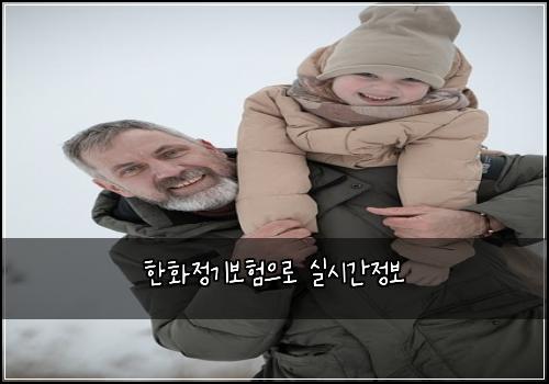 ννμ 기보νμΌλ‘ μ€μκ°μ 보