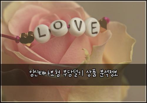 임신태아보험 부담덜기  상품 분석정보