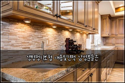 생명정기보험 내용및견적  남성분들은