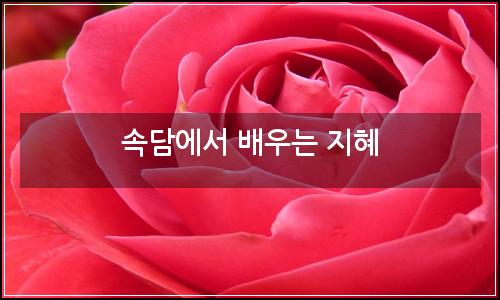 오늘의 이미지