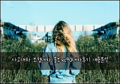 ์ฌ๊ณ ๋์ฐจ ๋ณดํ๋์ฐจ ๋ณผ๋ณดxc40๋์ฐจํ๊ธฐ ๋ด์ฉ๋ถ์