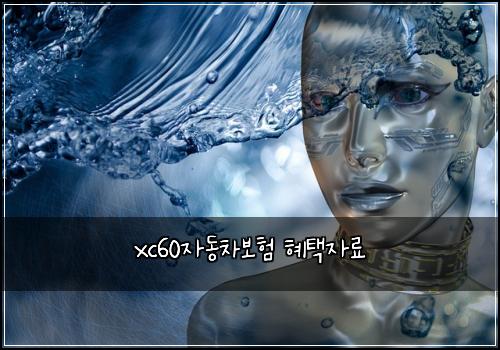 xc60자동차보험 혜택자료 