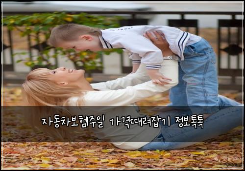 자동차보험1주일 가격때려잡기 정보톡톡