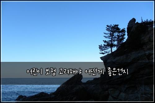 어린이 보험 고려해야  어떤게 좋은건지