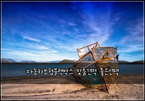 ์๋์ฐจ๋ณดํ๋ธ๋๋ฐ์ค ๋ง์ถค๊ฒฌ์ ์ข์์ ํ