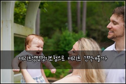 메리츠생명정기보험으로 메리츠 견적내볼까