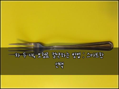 차 두 대, 보험료 절약하는 방법 : 스마트한 선택